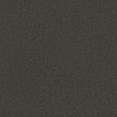 Storm Grey carpet swatch
